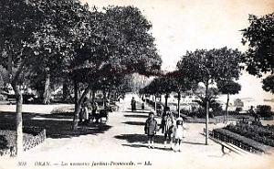 2507- Oran - Nouveaux Jardins- Promenade